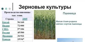 Виды и особенности работы оборудования для производства комбикорма Предприятие по производству комбикормов
